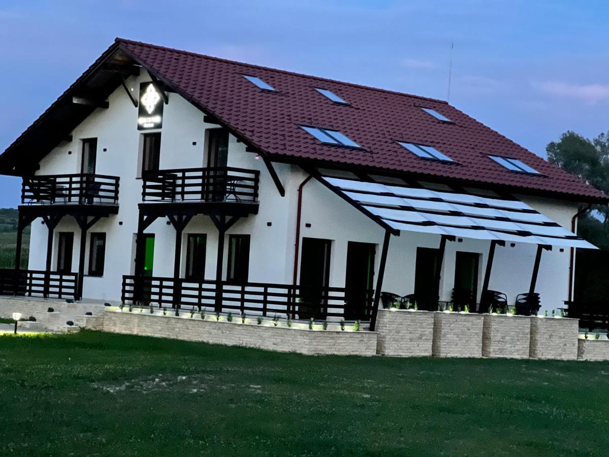 Casa Cu Flori Maramures Baia Mare Exteriör bild