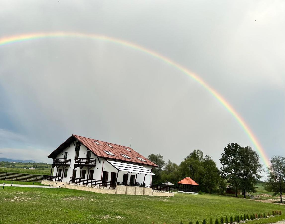 Casa Cu Flori Maramures Baia Mare Exteriör bild