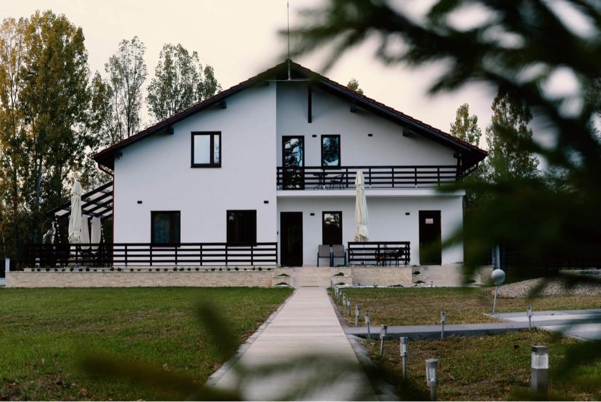 Casa Cu Flori Maramures Baia Mare Exteriör bild