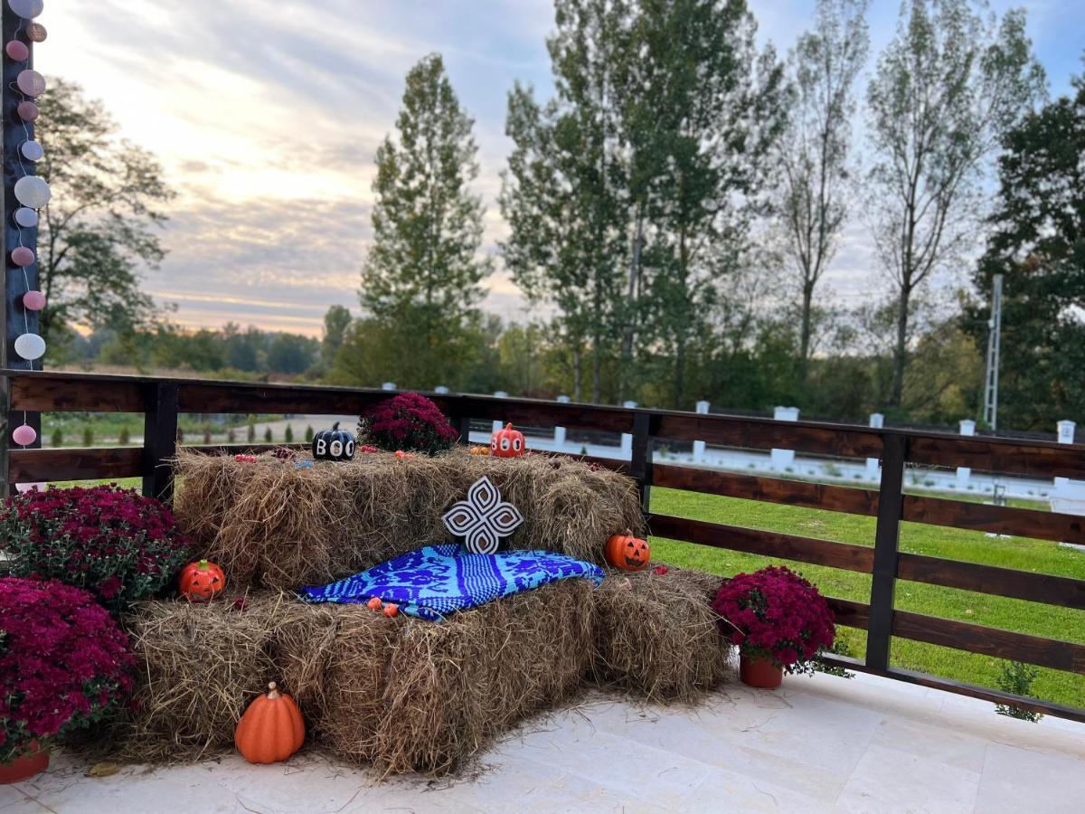 Casa Cu Flori Maramures Baia Mare Exteriör bild