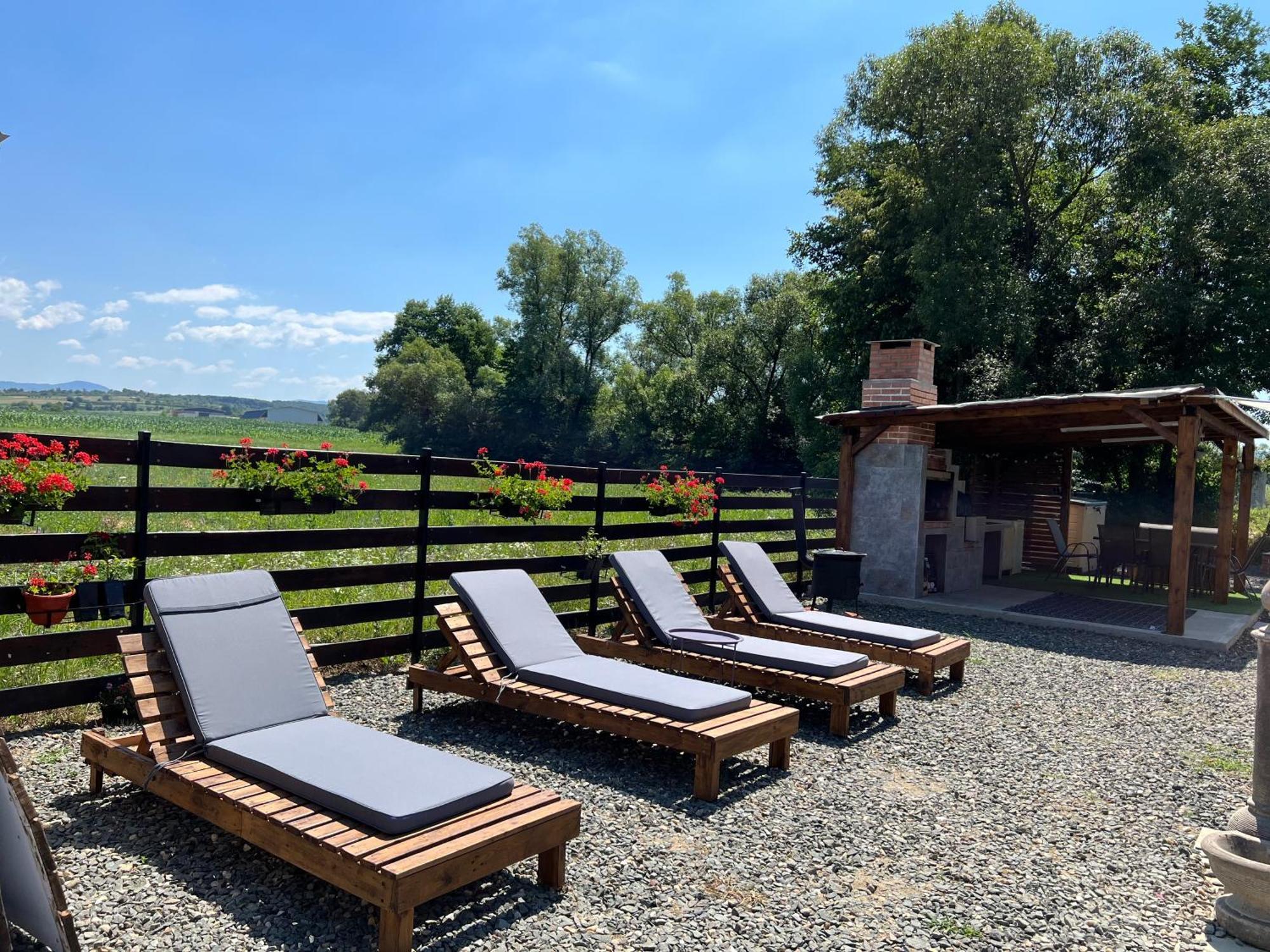 Casa Cu Flori Maramures Baia Mare Exteriör bild