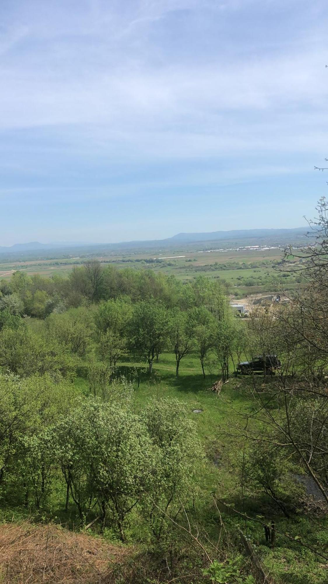 Casa Cu Flori Maramures Baia Mare Exteriör bild